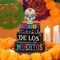4 Pcs Day of The Dead Table Decorations Day of The Dead Centerpiece for Table Dia De Los Muertos Tiered Tray Decor Wood Sugar Skull Multicolor
